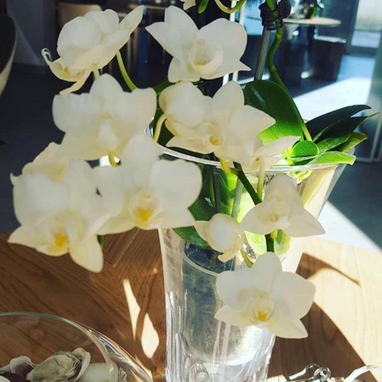 Hotel Villa Barsanti Пиетрасанта Екстериор снимка